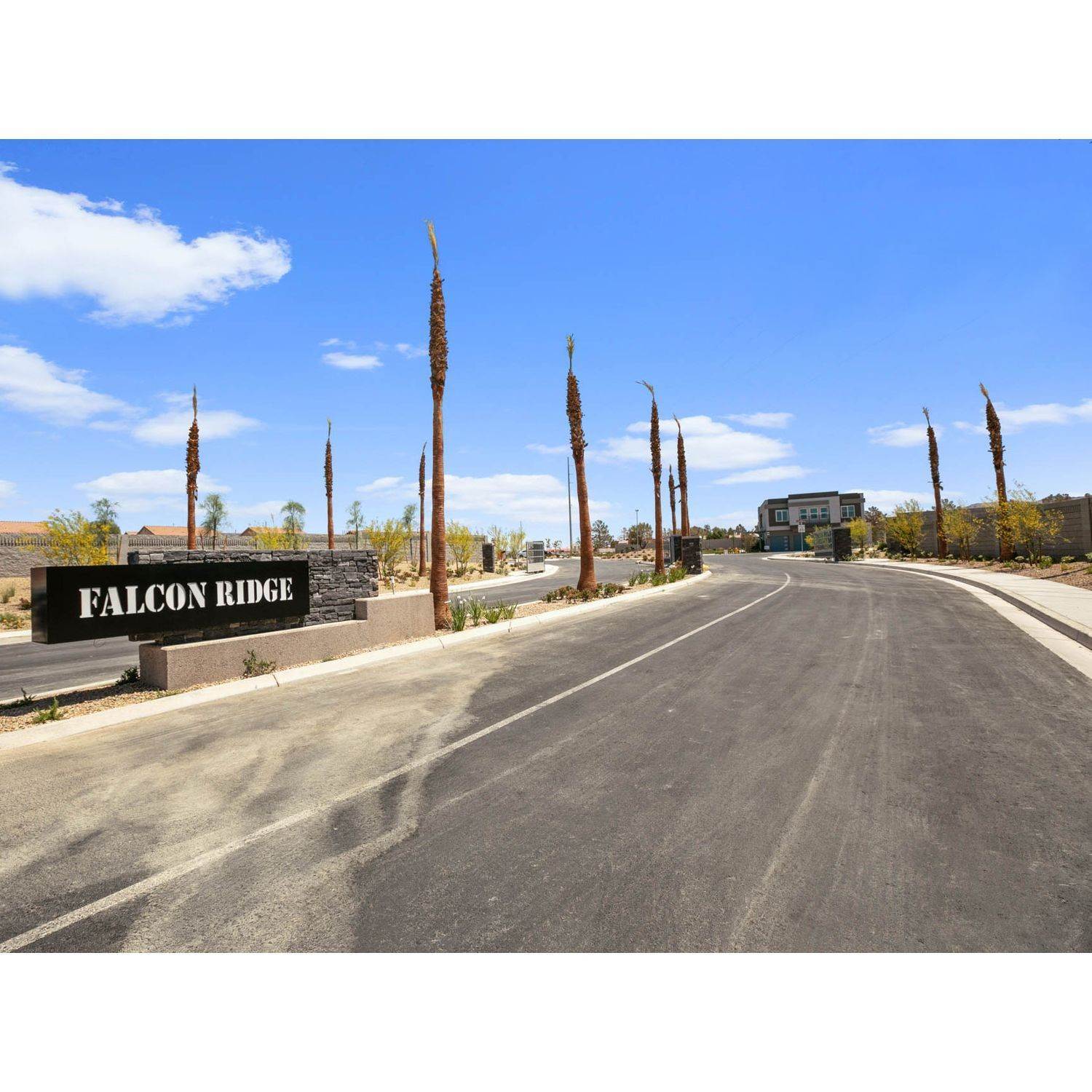 Falcon Ridge building at 4258 Vivenda Street, Sunrise Manor, Las Vegas, NV 89115