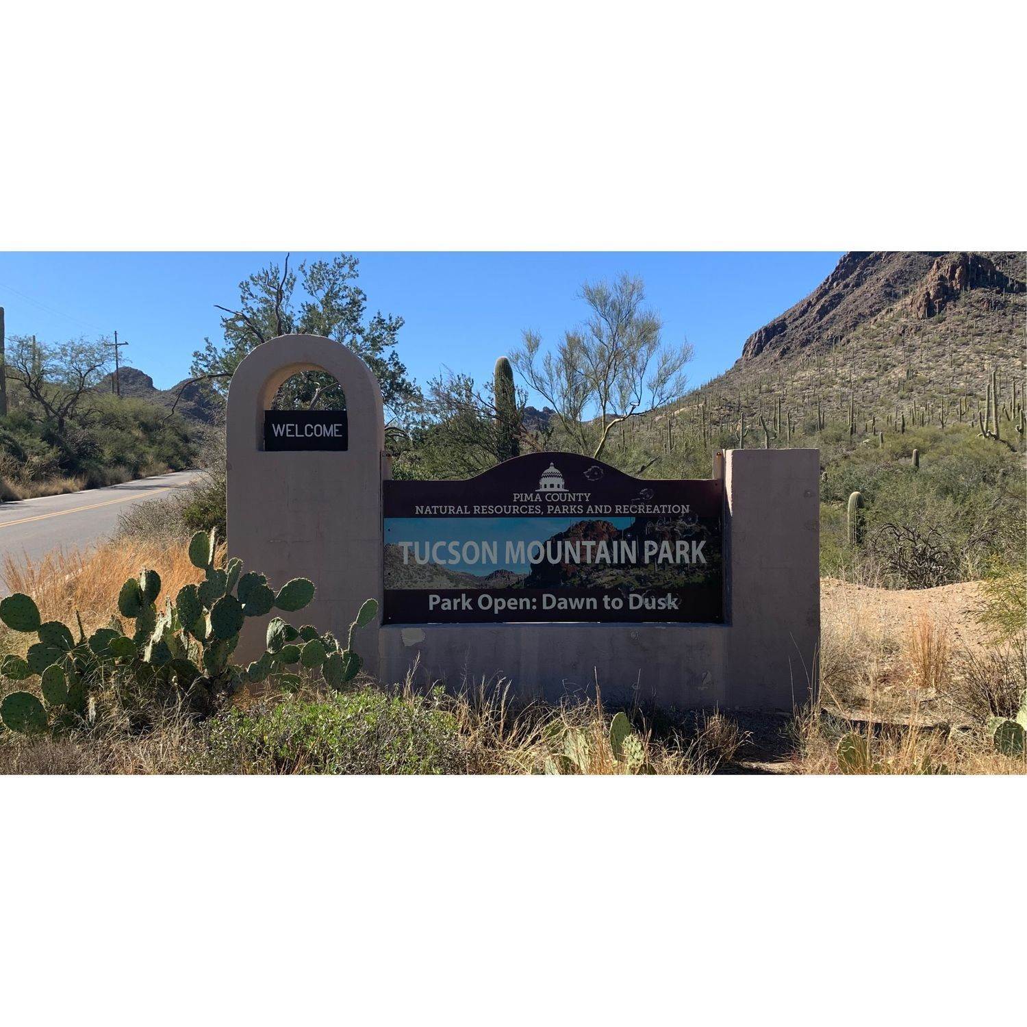7. Star Valley Destiny Collection xây dựng tại 7079 W Ferntree Lane, Tucson, AZ 85757