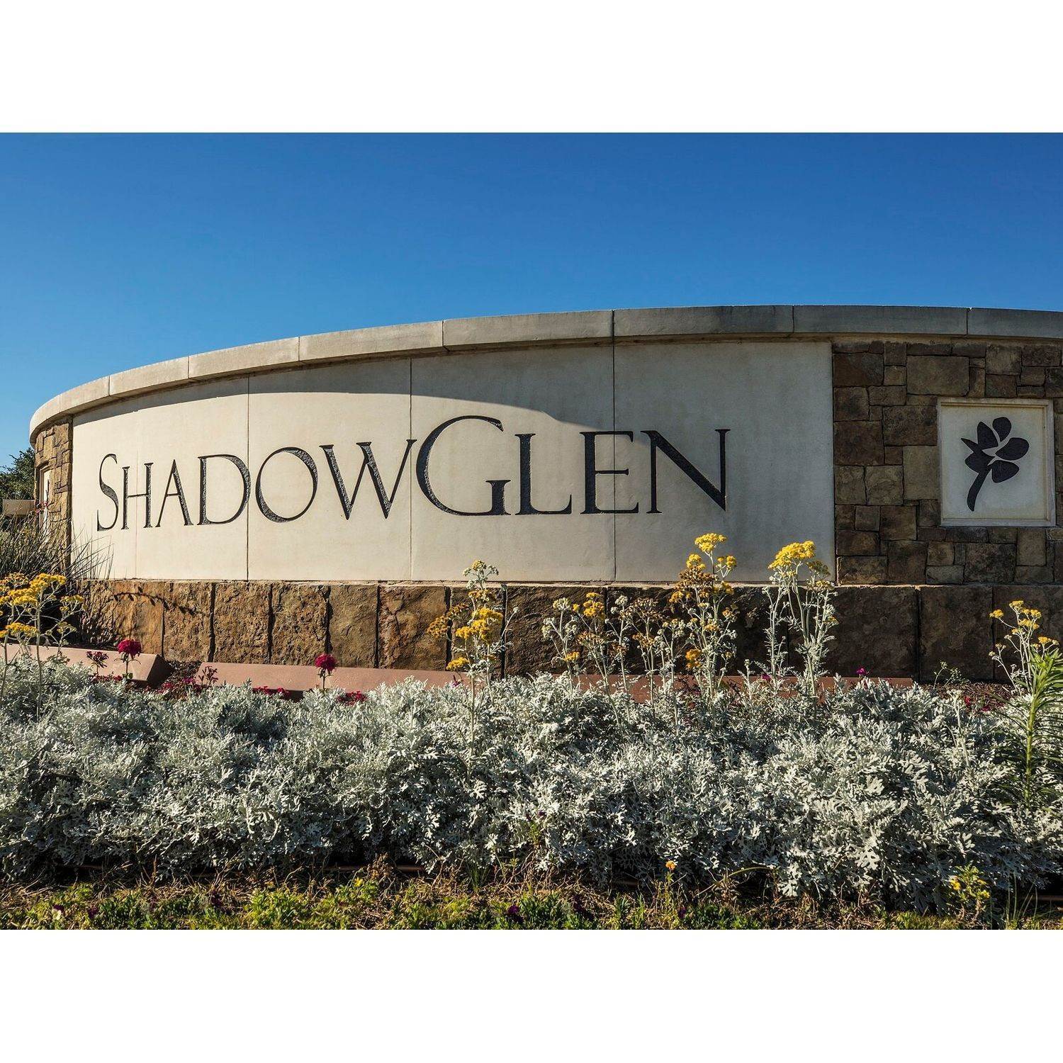 13. ShadowGlen - Reserve Collection building at 13810 Rosebud Isle Dr., Manor, TX 78653