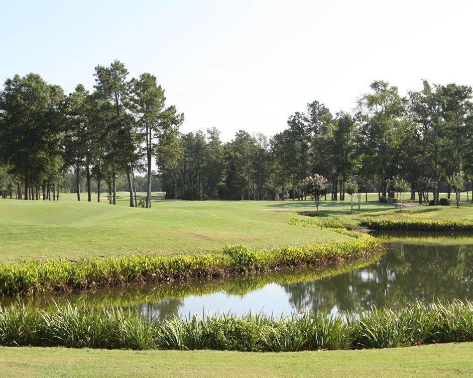 8. Woodforest 60' xây dựng tại 126 Canary Island Circle, Montgomery, TX 77316