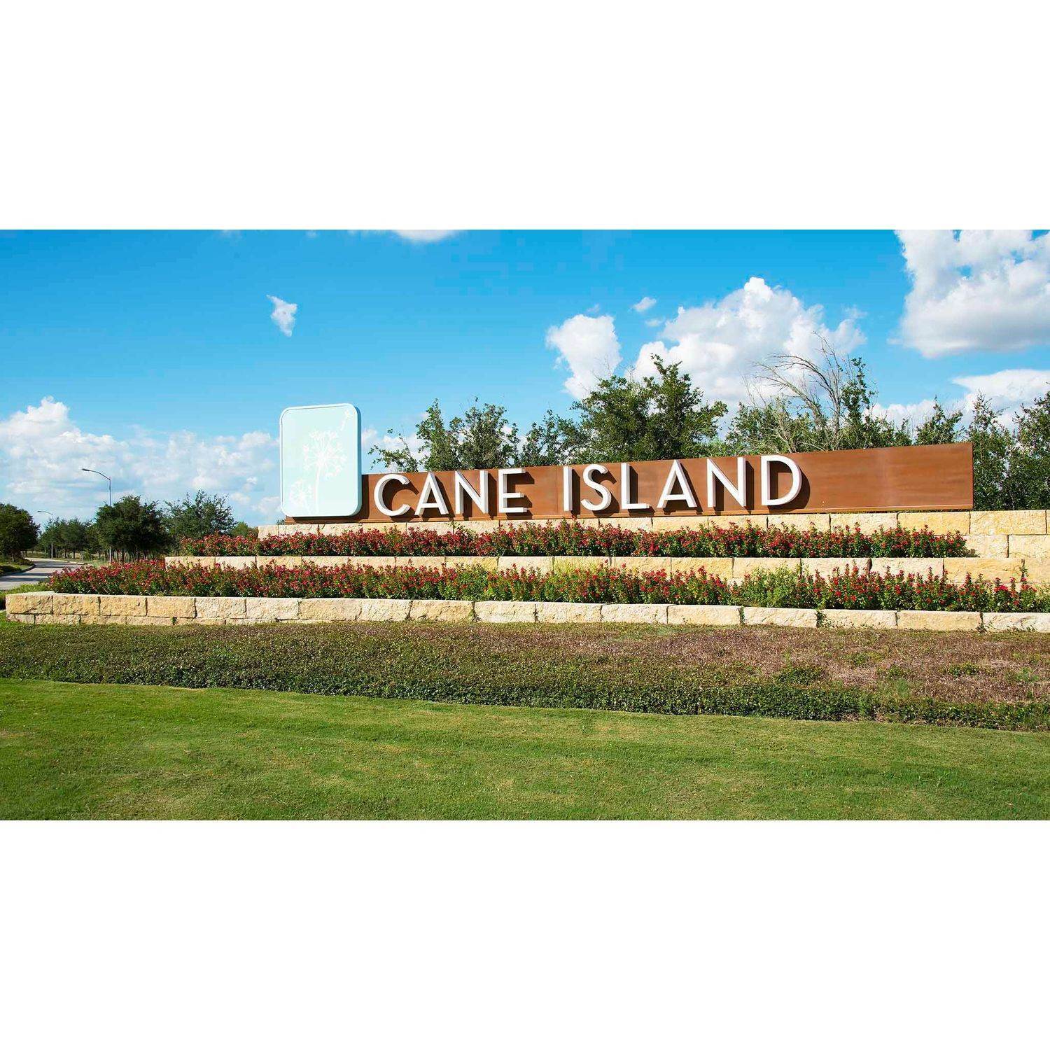 Cane Island 50' здание в 1907 Olmsted Court, Katy, TX 77493