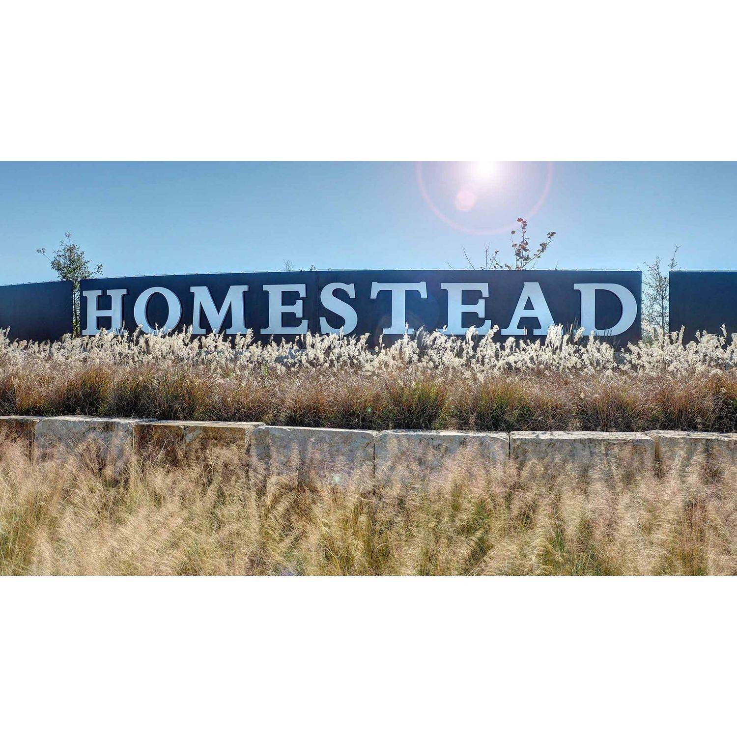 Homestead 65' xây dựng tại 4932 Childress Lane, Schertz, TX 78108