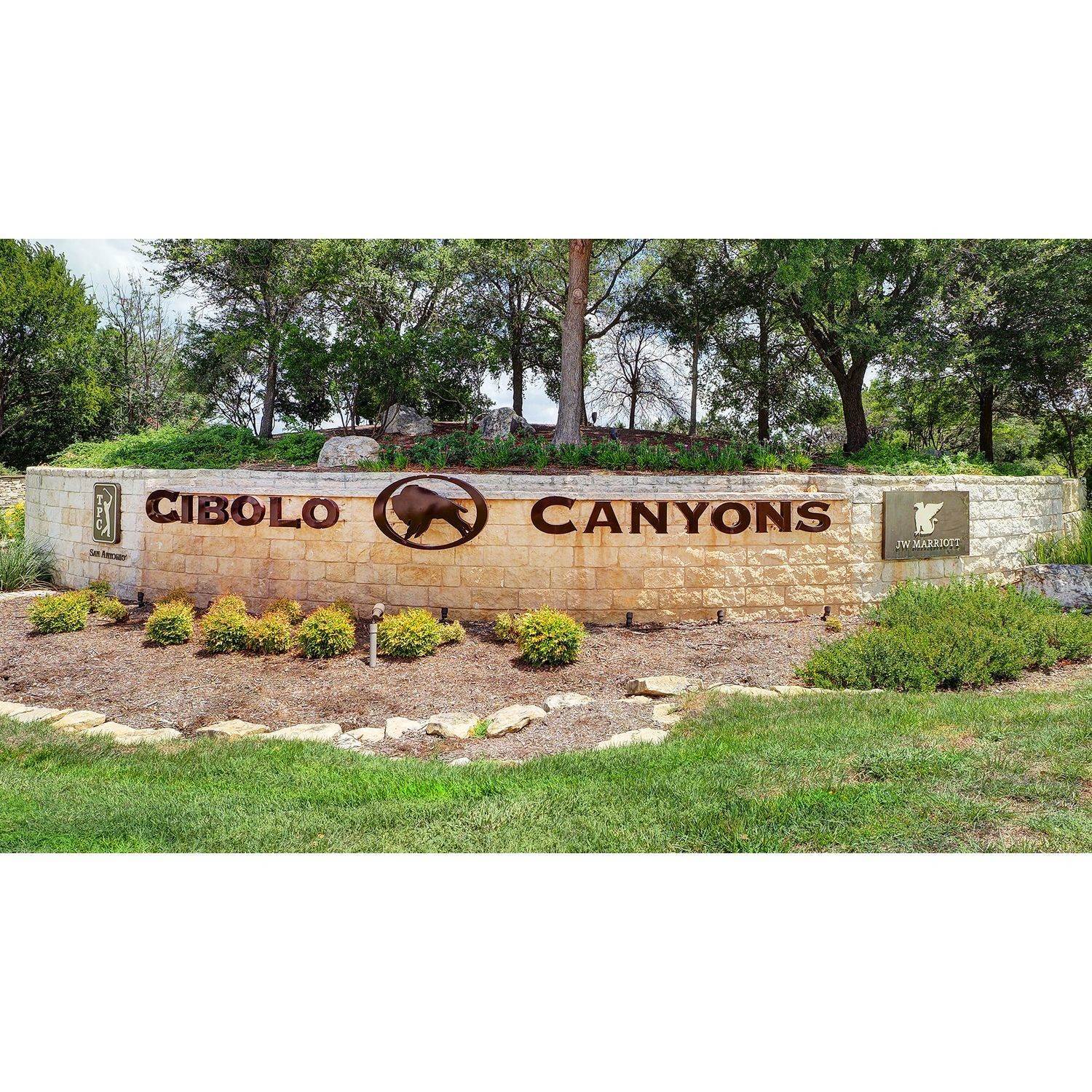 6. Cibolo Canyons 50' κτίριο σε 24202 Downhill Lie, San Antonio, TX 78261